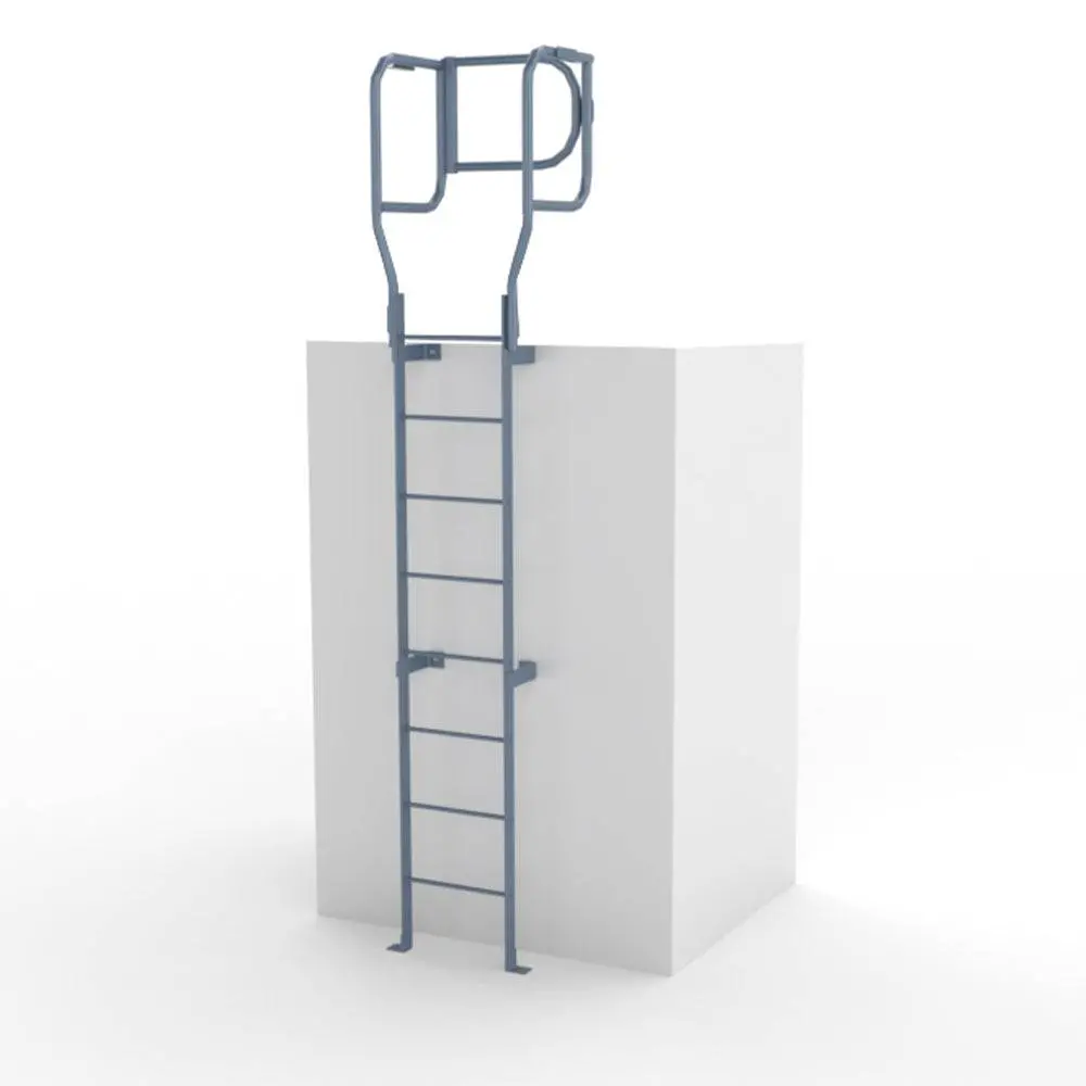 Steel Access Ladders 1