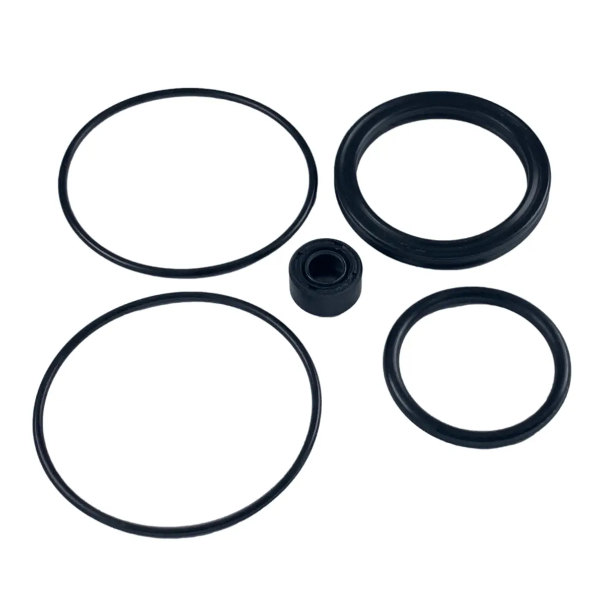 Seal Kit For Pump Models 4475 & 4480 1