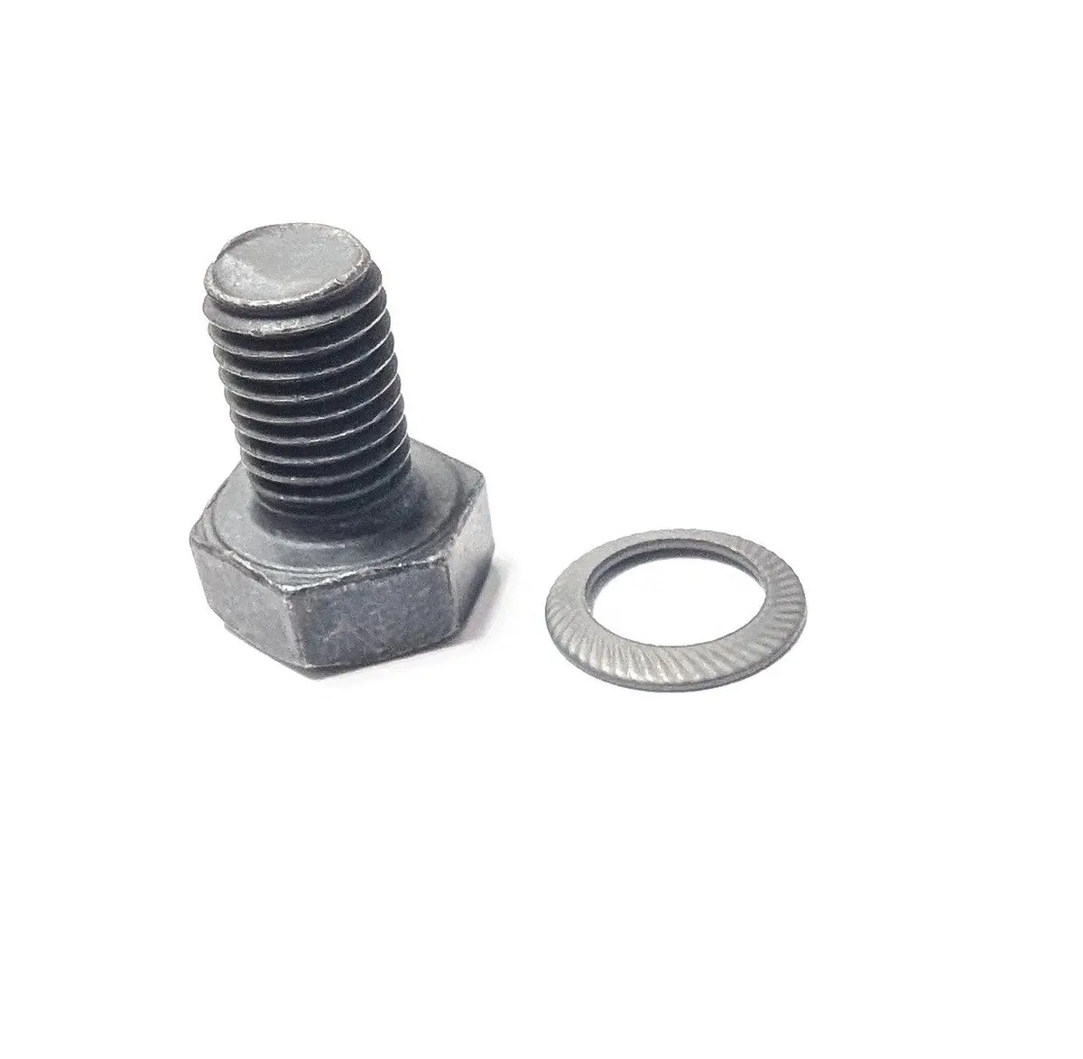 8X12 Bolt With Washer 1