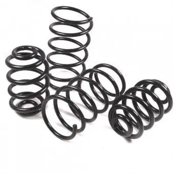 Mazda Rx-8 & R3 Eibach Pro-Kit Performance Springs 1