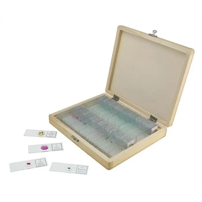 Prepared Microscope Slides - 100 Piece Set 1