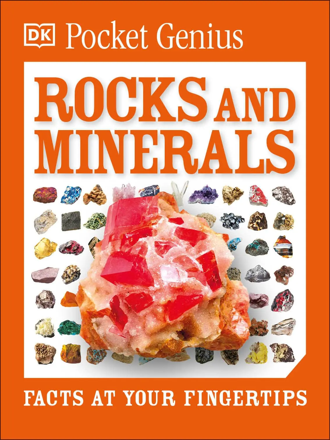 Pocket Genius: Rocks And Minerals: Facts At Your Fingertips Book 1