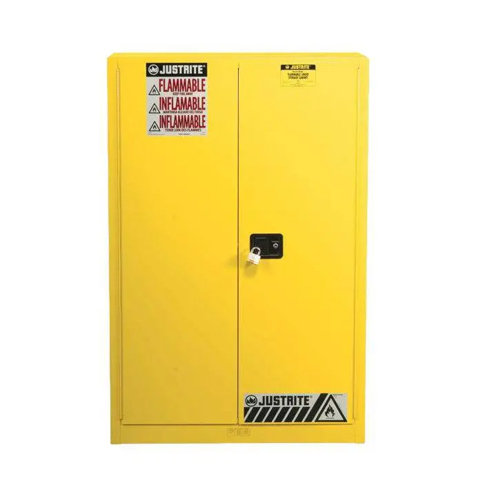 Sure-Grip Ex Combustibles Safety Cabinet For Paint, 60 Gal, 2 M/C Dr 1
