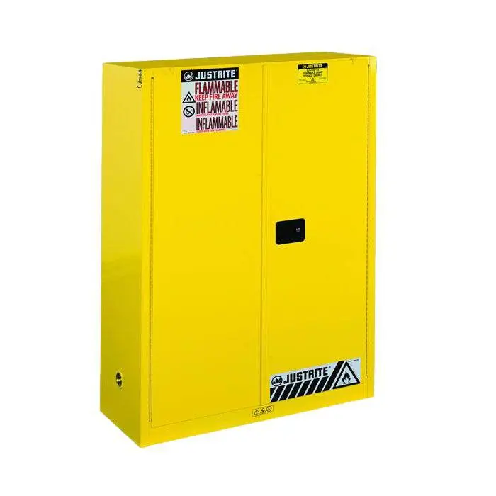 Sure-Grip Ex Combustibles Safety Cabinet For Paint, 60 Gal, 2 S/C Dr 1