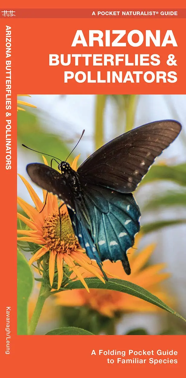 Arizona Butterflies & Pollinators: A Folding Pocket Guide To Familiar Species (On) (Nature Observation North America) 1