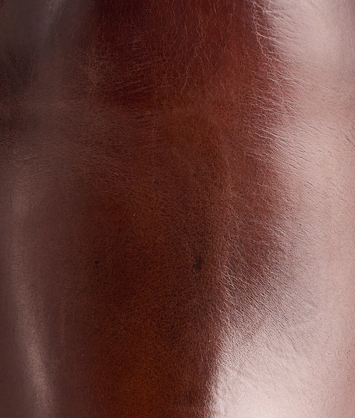 Pronto :: Cognac 8