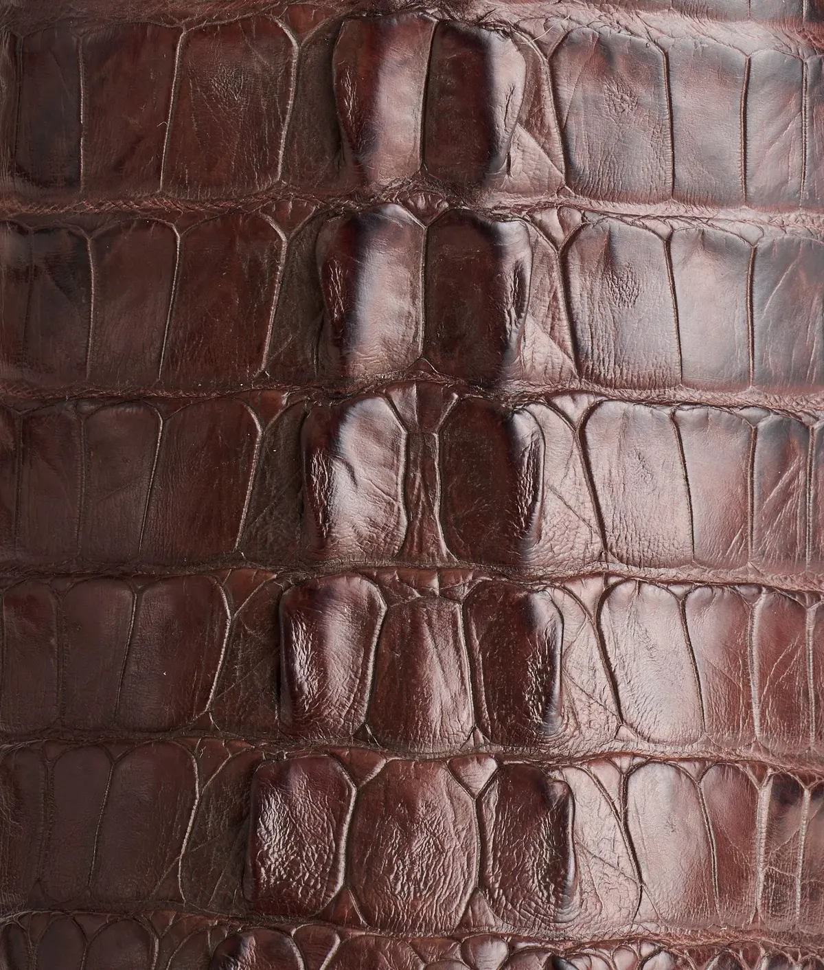 Haan :: Barrel Brown + Chocolate 8