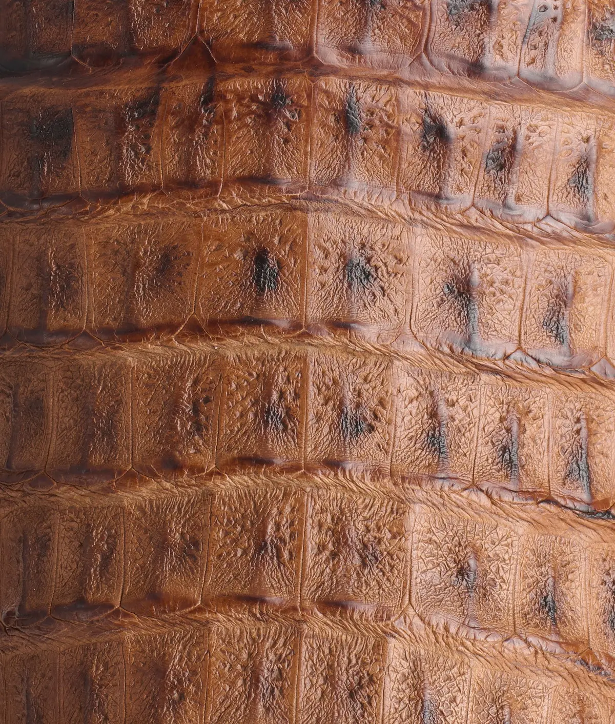Fisher :: Tan + Chocolate 9