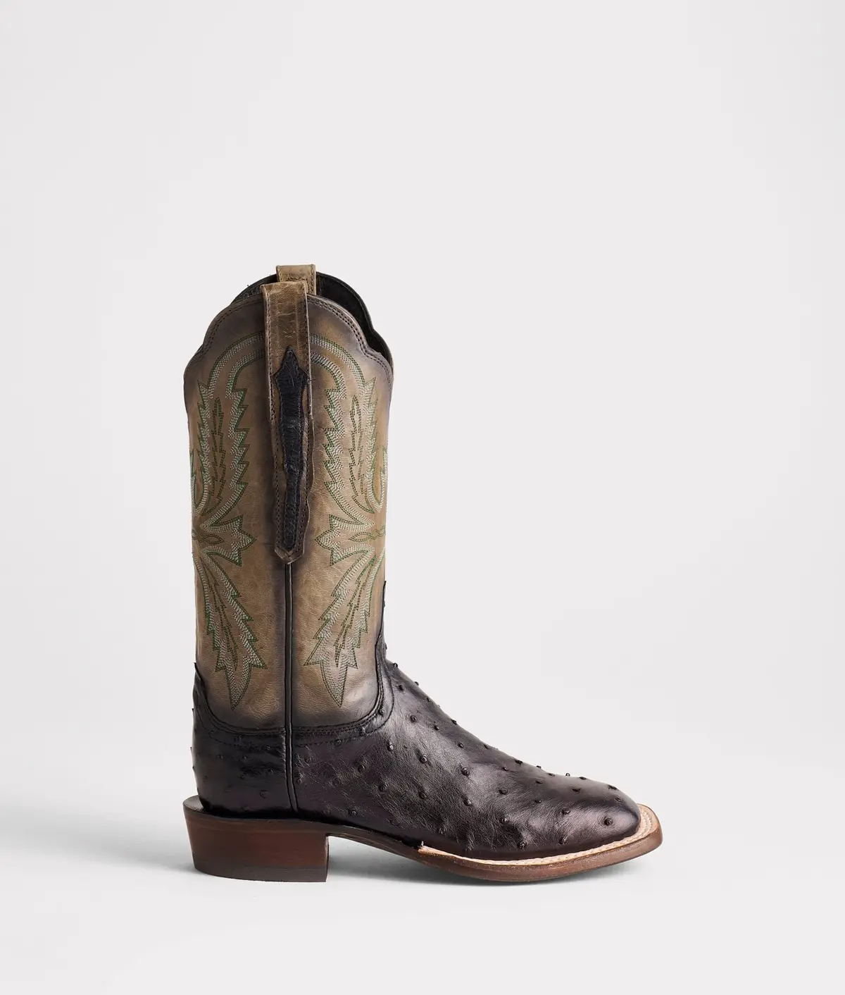 Josephine Horseman :: Antique Black 1
