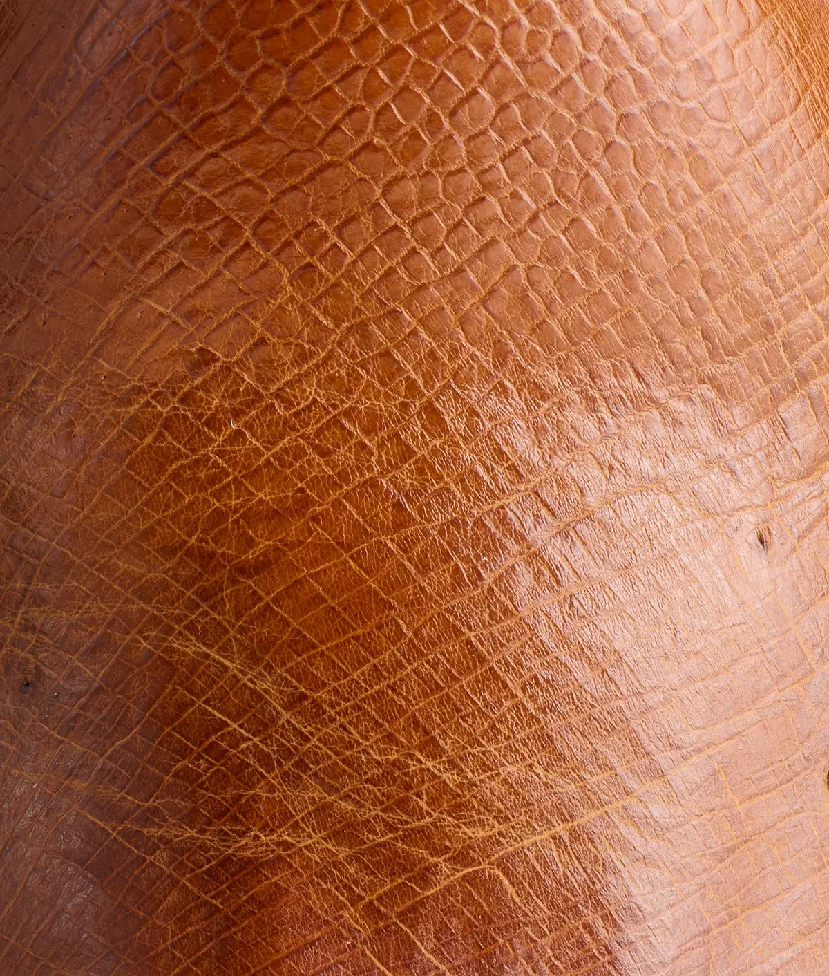 Sunset Exotic :: Cognac 8