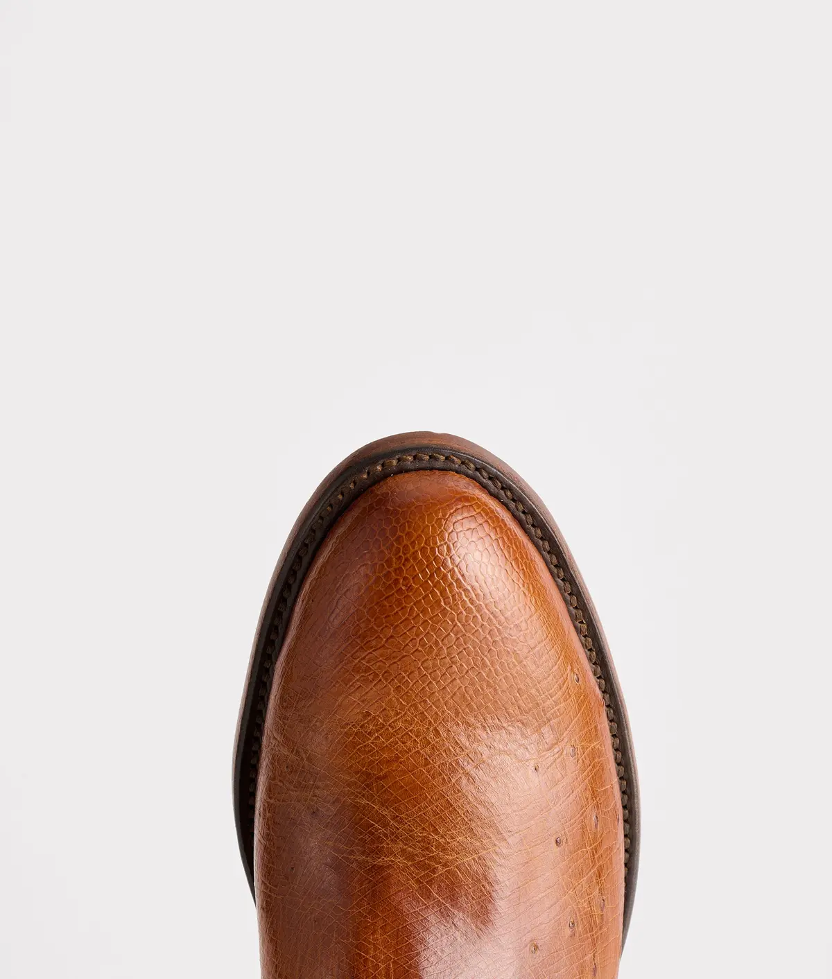 Sunset Exotic :: Cognac 7