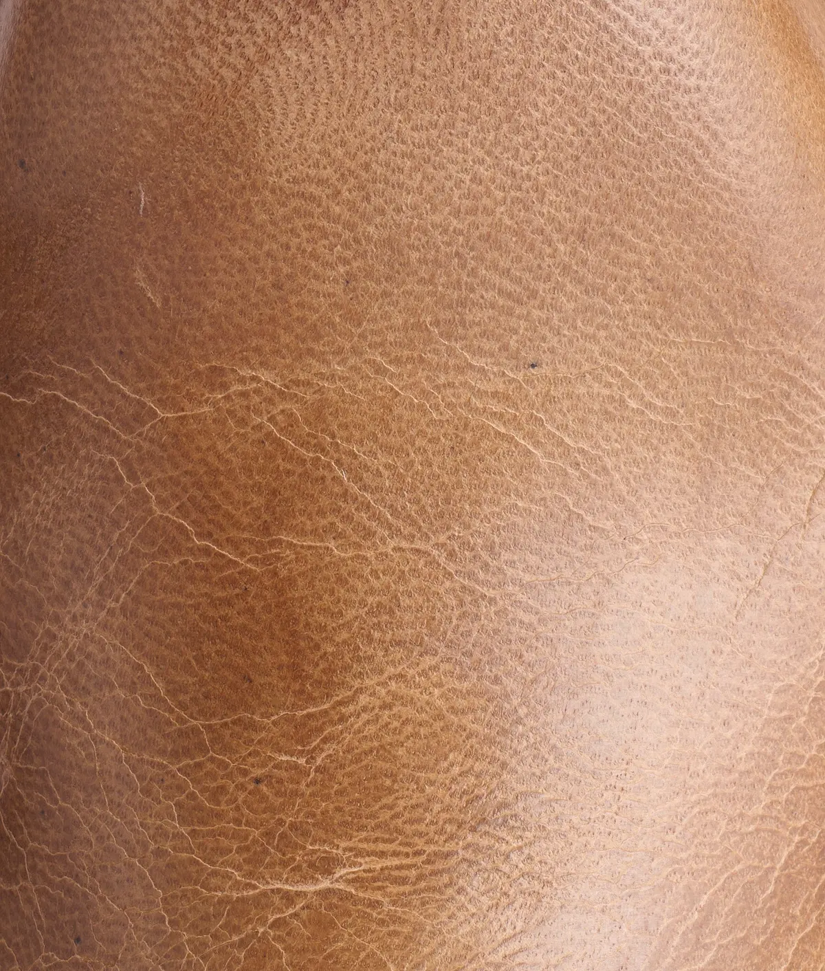 Sunset Roper :: Pearl Bone 8