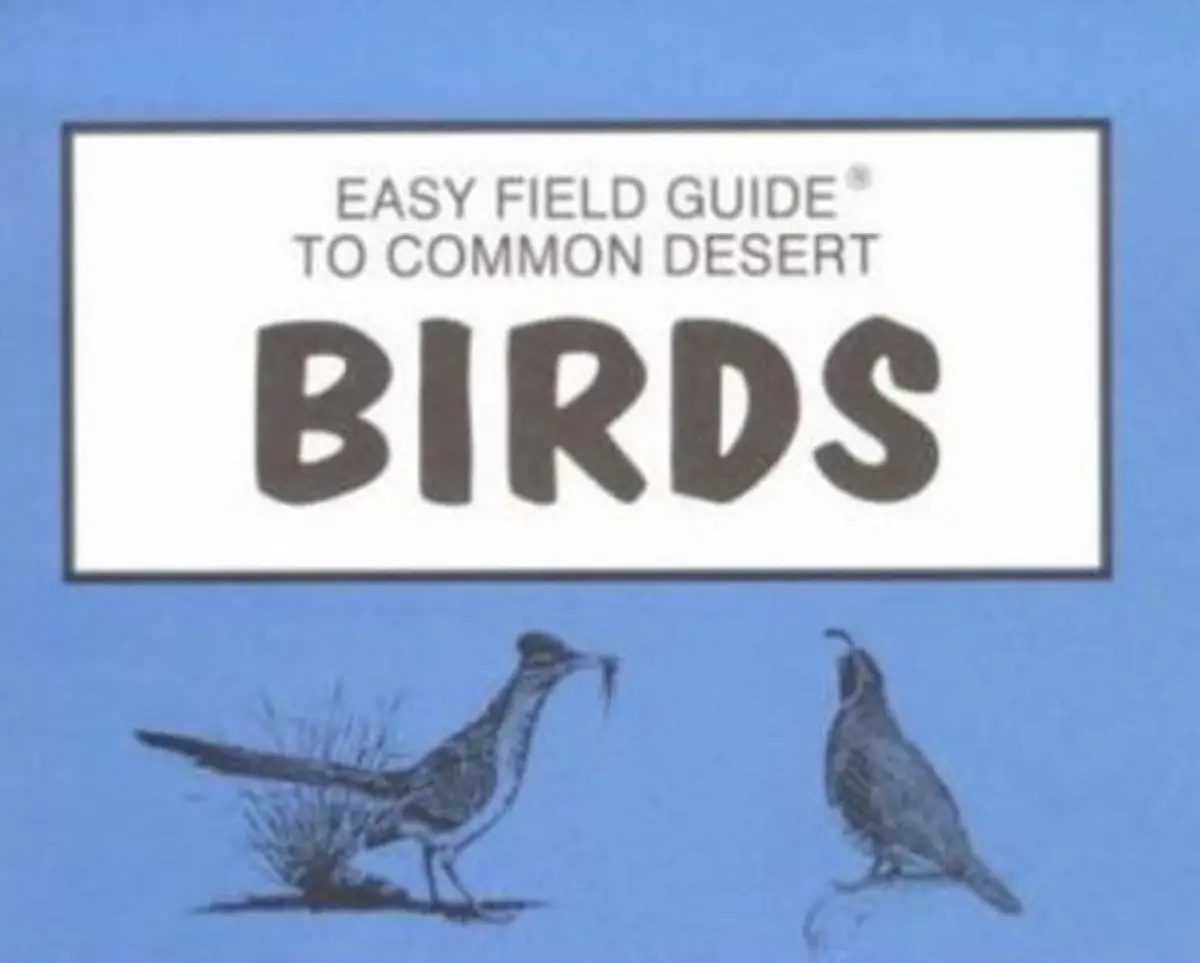 Easy Field Guide To Common Desert Birds 1