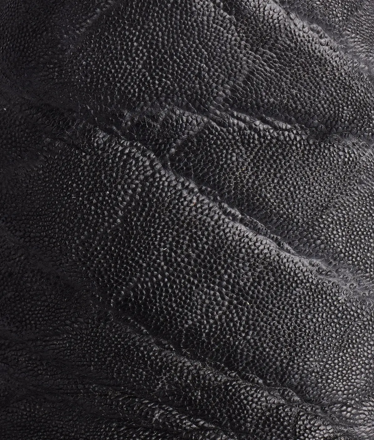 Terlingua :: Black 8