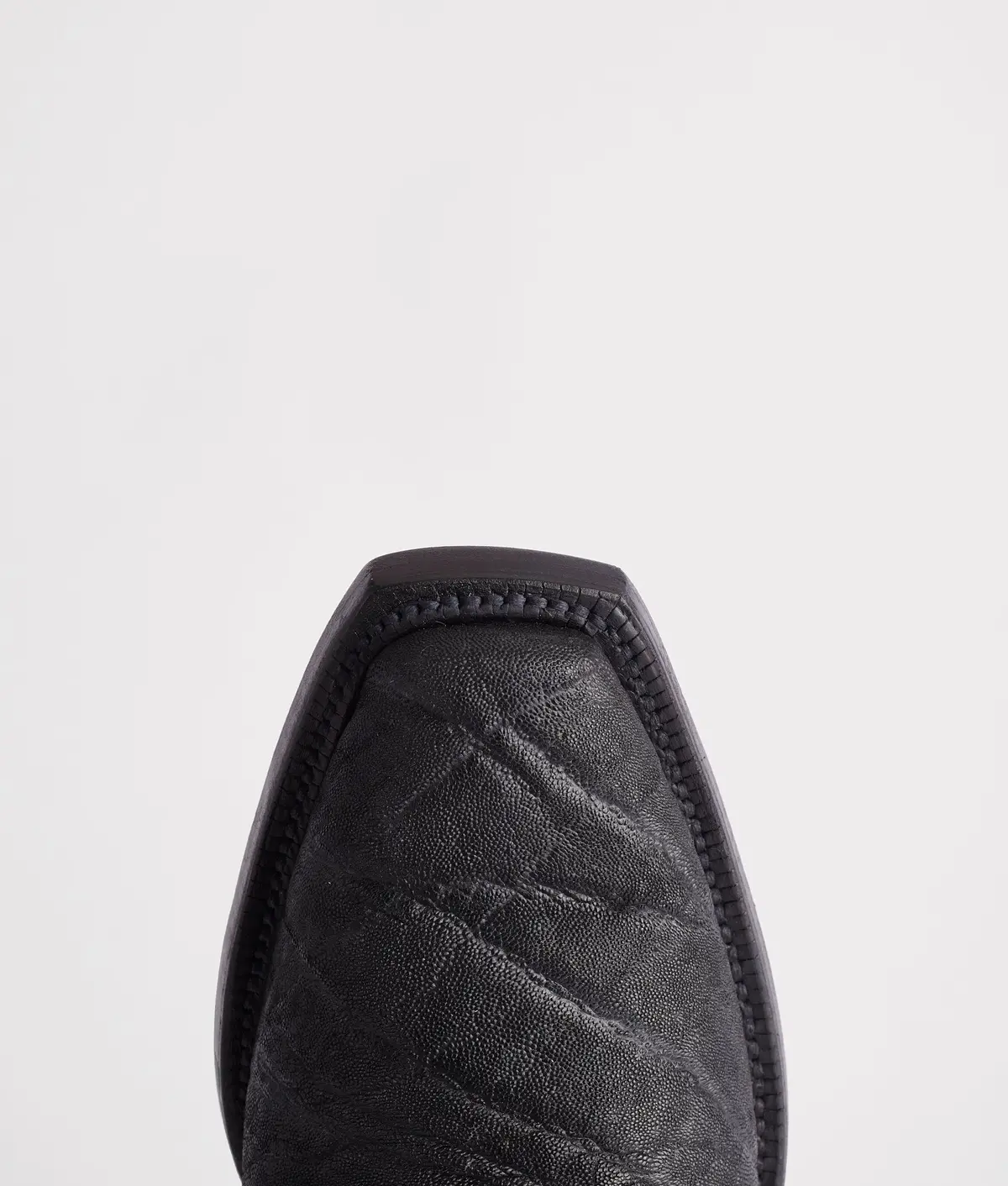 Terlingua :: Black 7