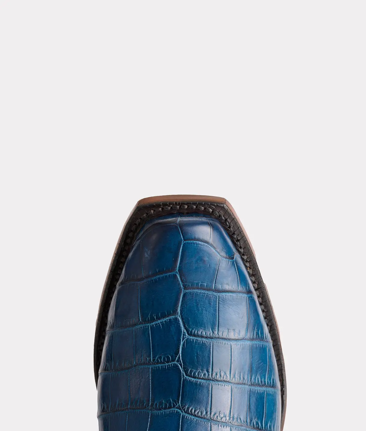 Tulip Exotic :: Navy 6