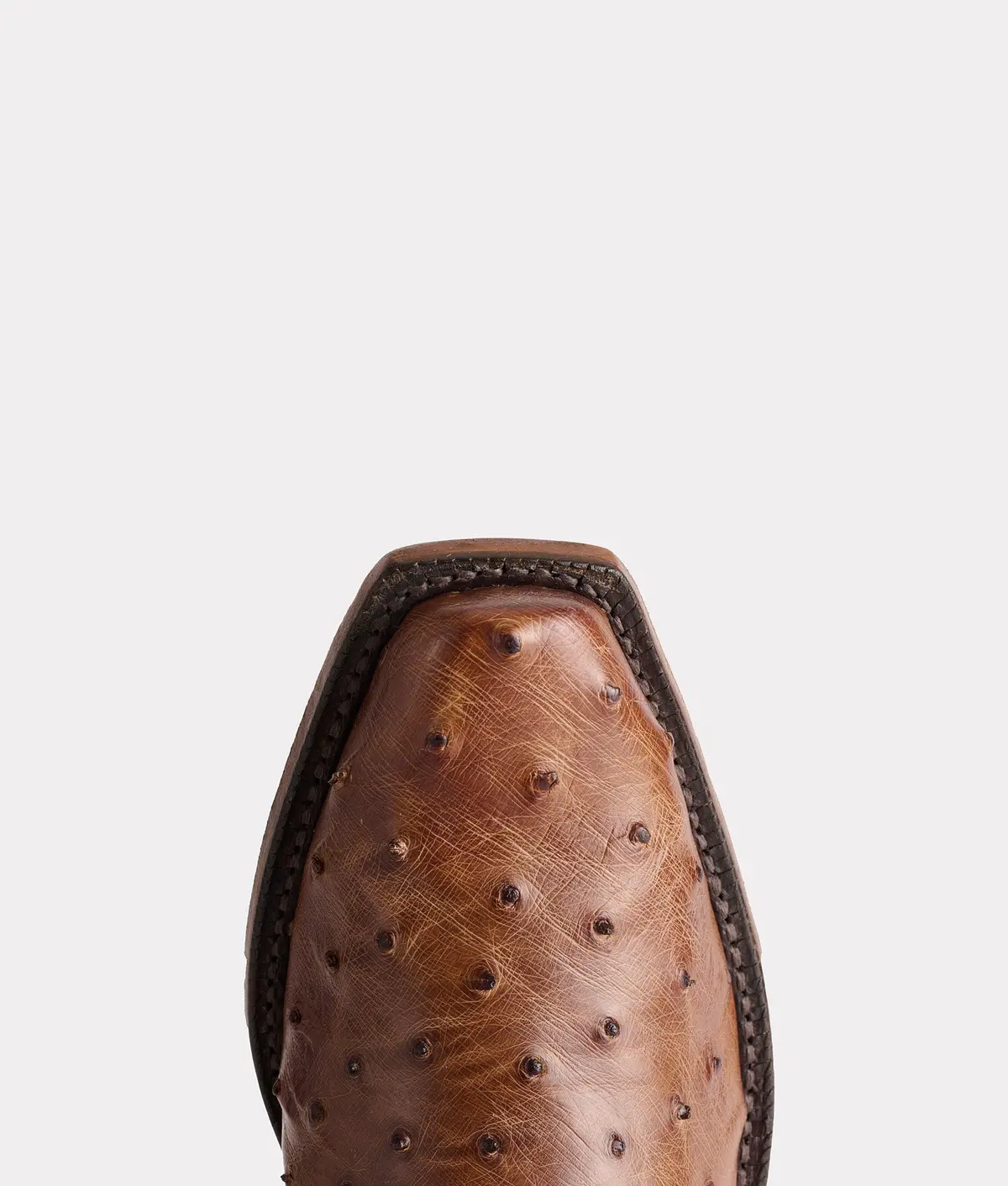 Randall :: Kango Tobacco 7