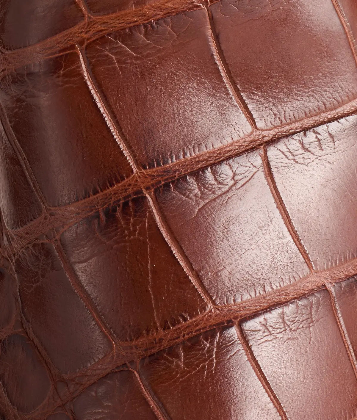 Mission :: Chocolate 8