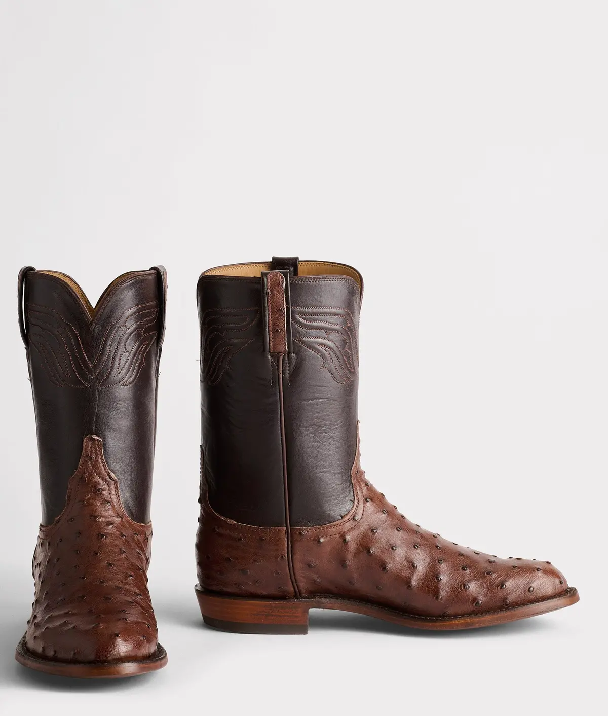 Augustus :: Sienna + Dark Brown 2