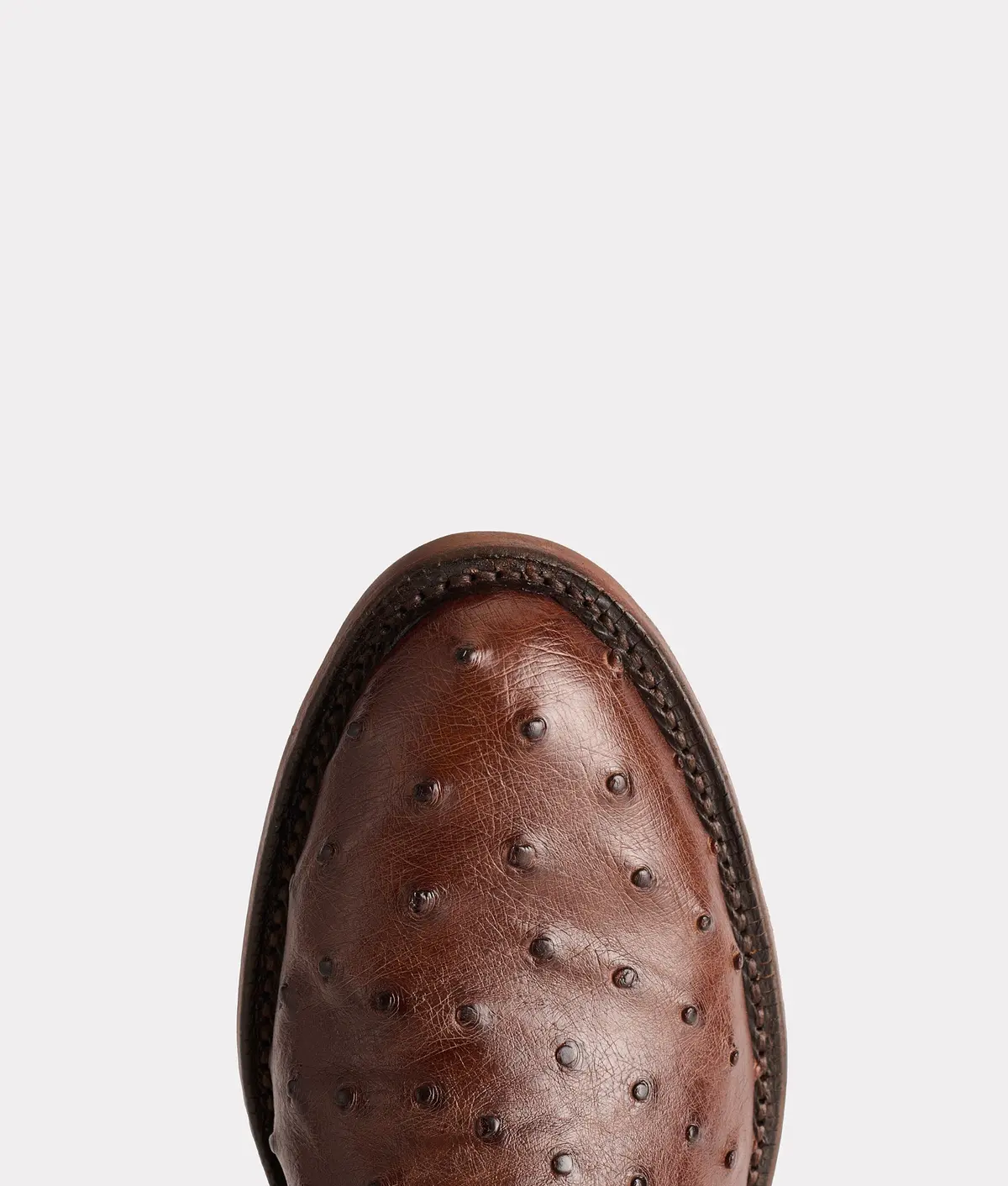 Augustus :: Sienna + Dark Brown 7