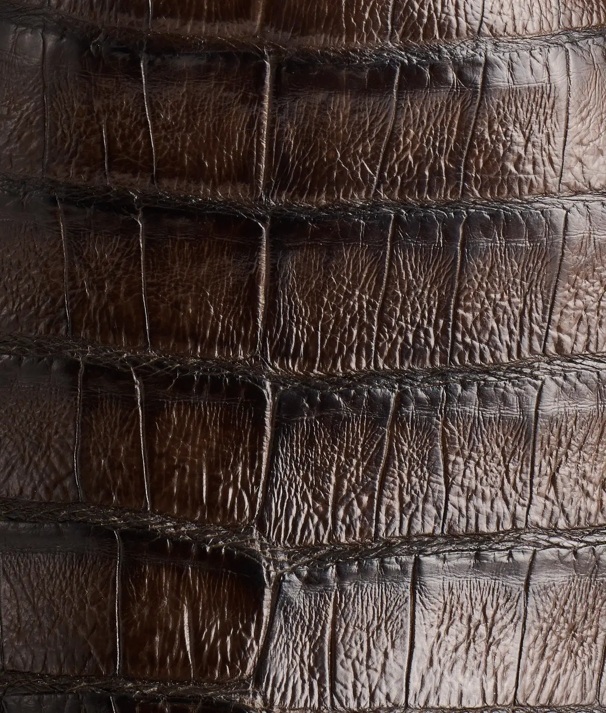 Wilson :: Chocolate 7
