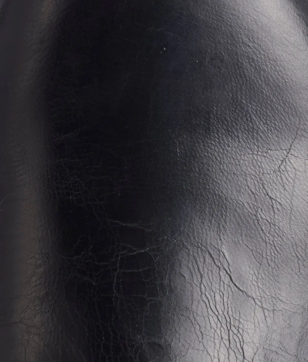 Tanner :: Black 8