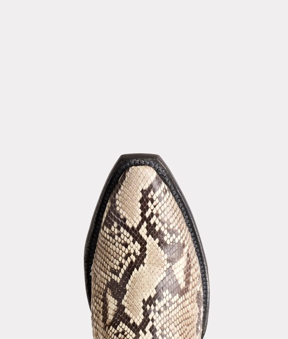 Dale Exotic :: Black/White + Black 7
