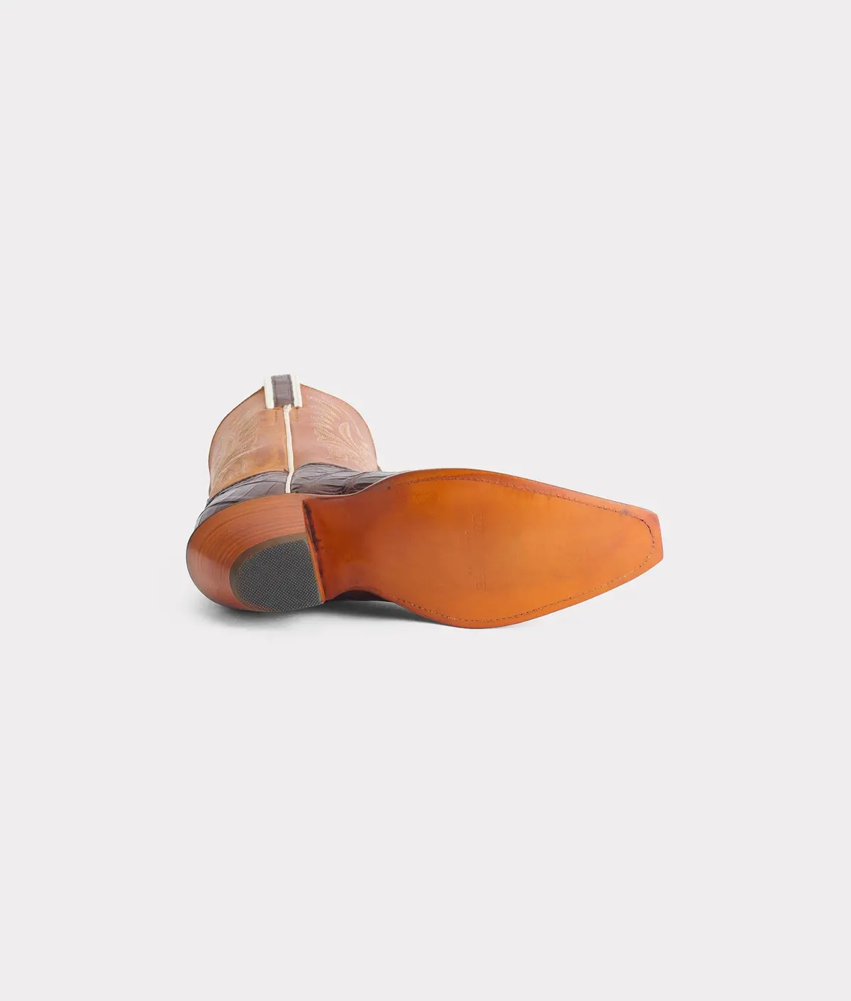 Dale Exotic :: Sienna 6