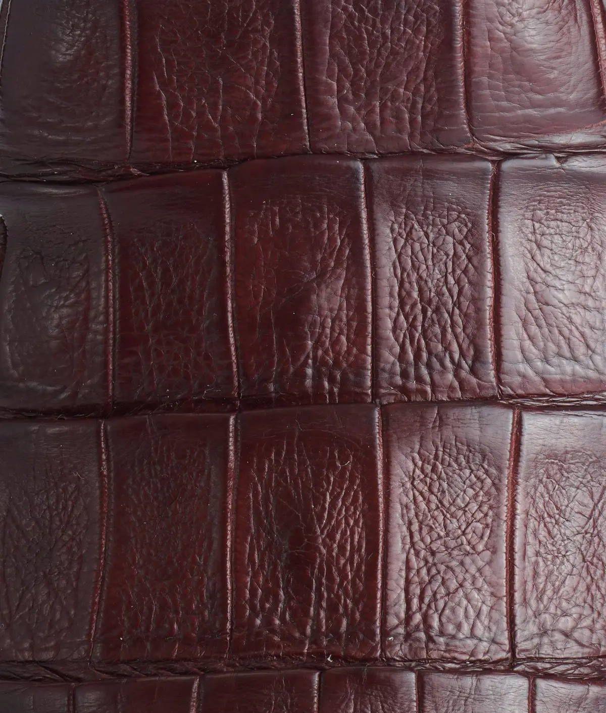 Dale Exotic :: Sienna 8