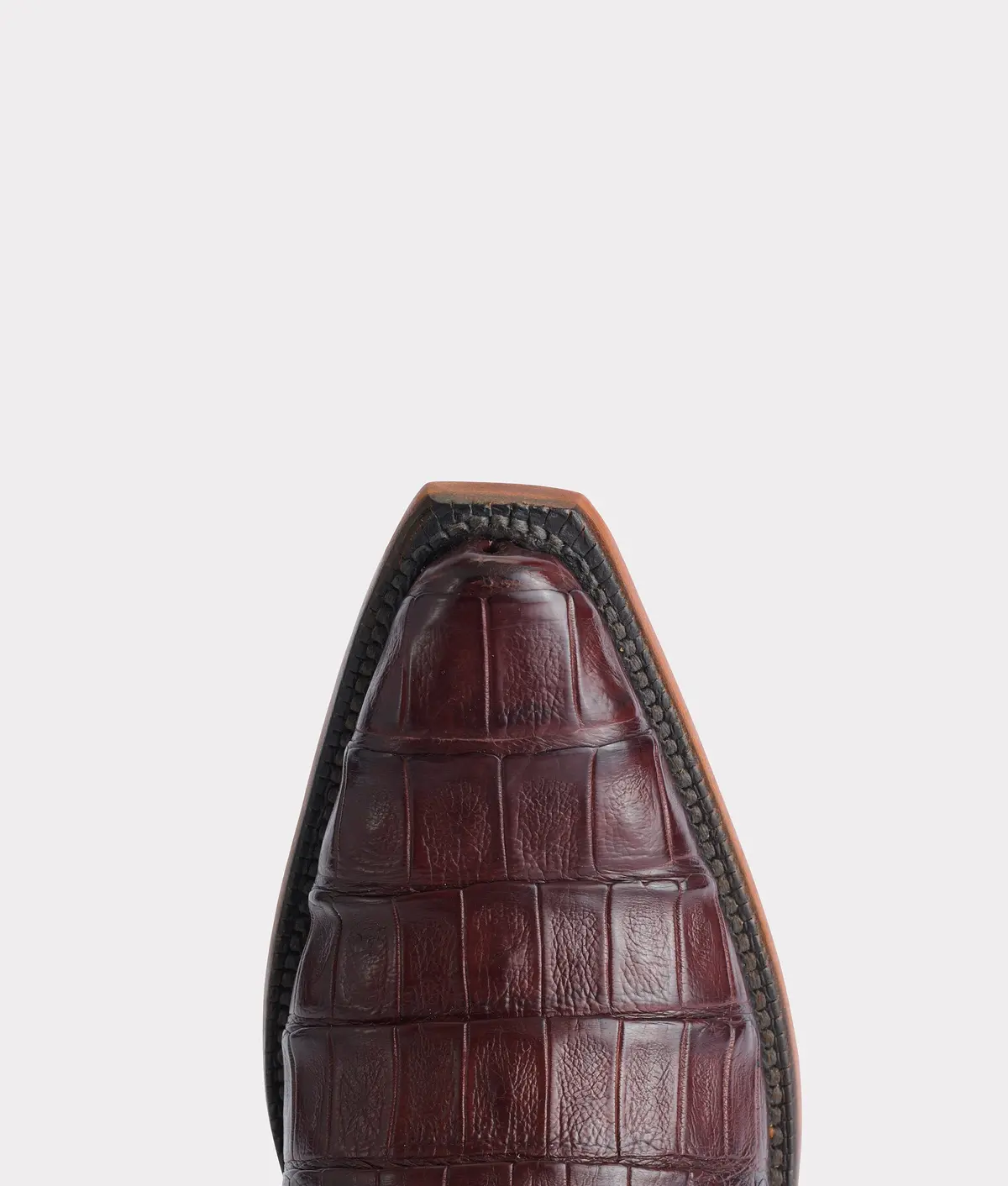 Dale Exotic :: Sienna 7