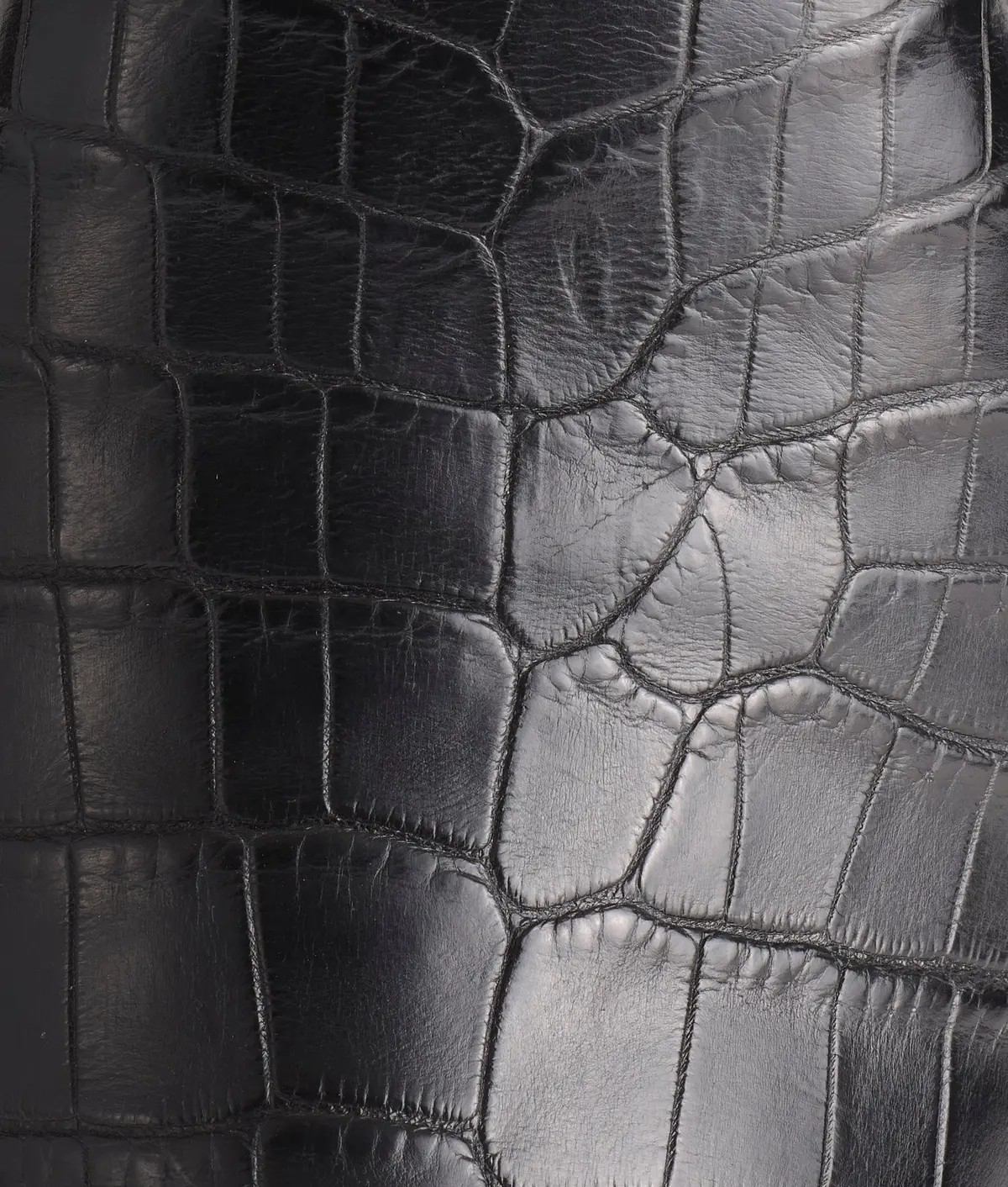 Elliott :: Black 8