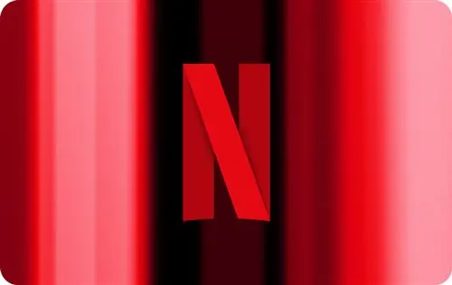 Netflix Egift Card ( Conta Em Euro ) - Envio Por Email/Whatsapp 1