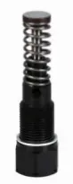 Pump Element With Spring-Return Piston 1