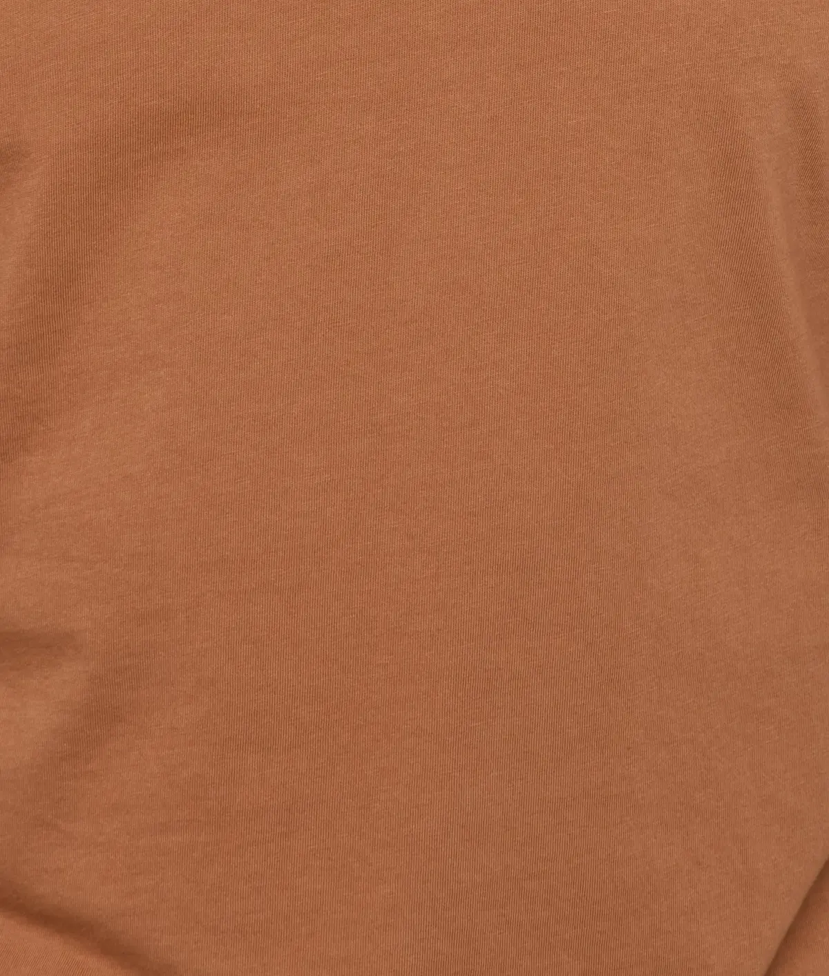 Eagle Stamp Tee :: Brown 3