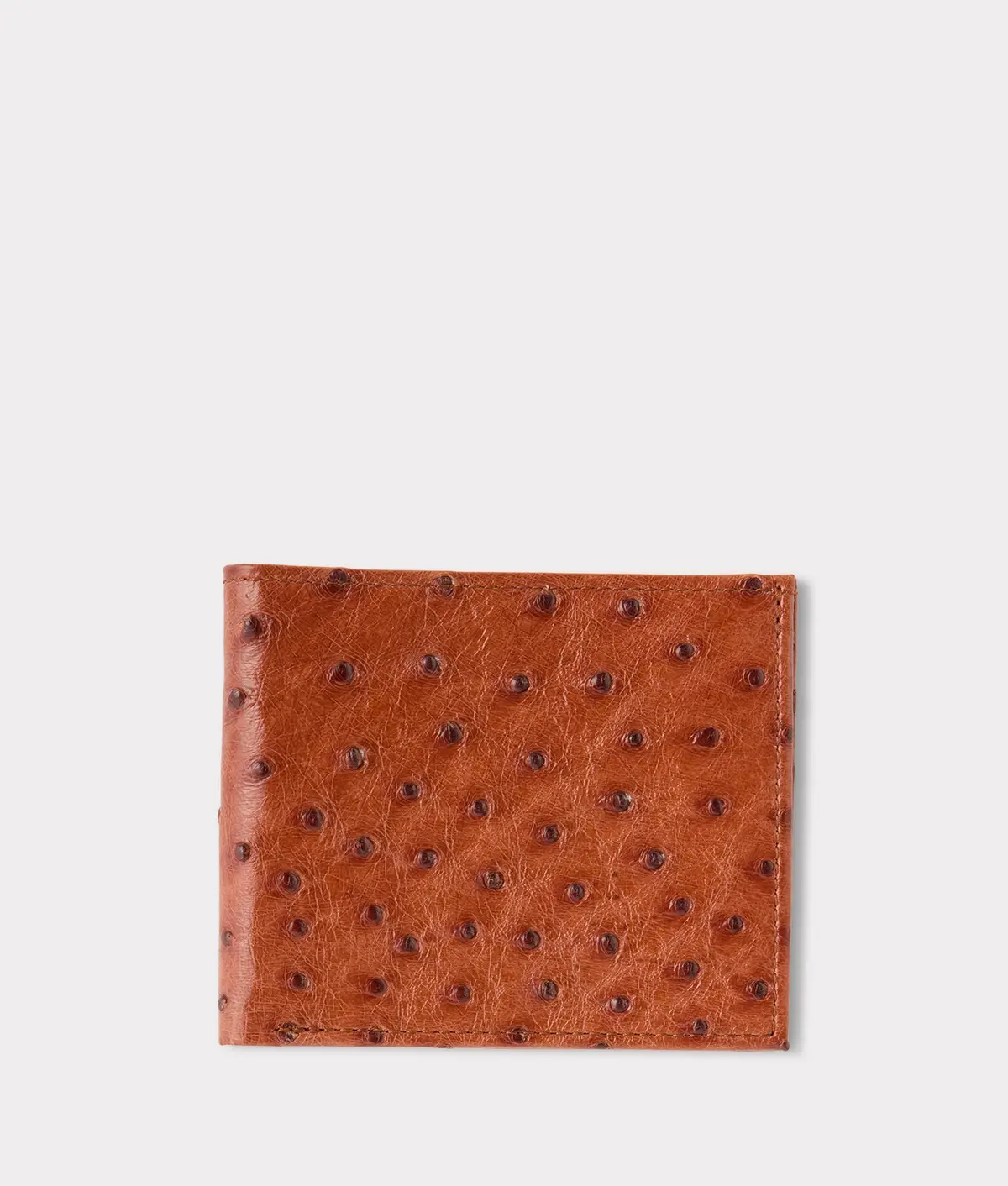 Hipster Wallet – Ostrich :: Cognac 1