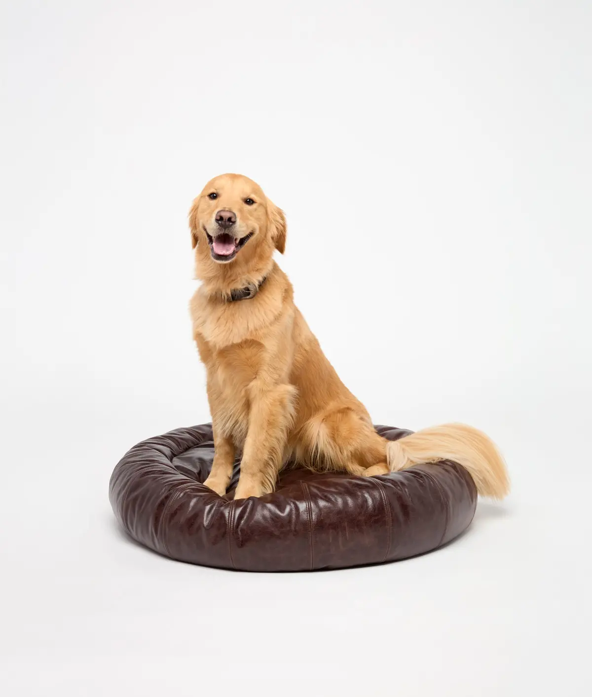 Dog Bed :: Brown 1