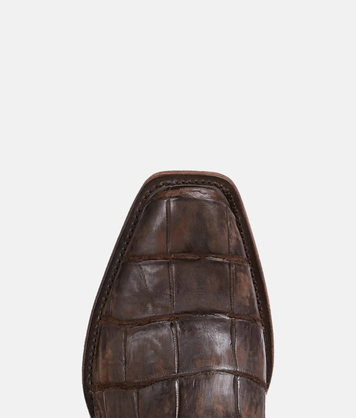 Burke :: Chocolate 7