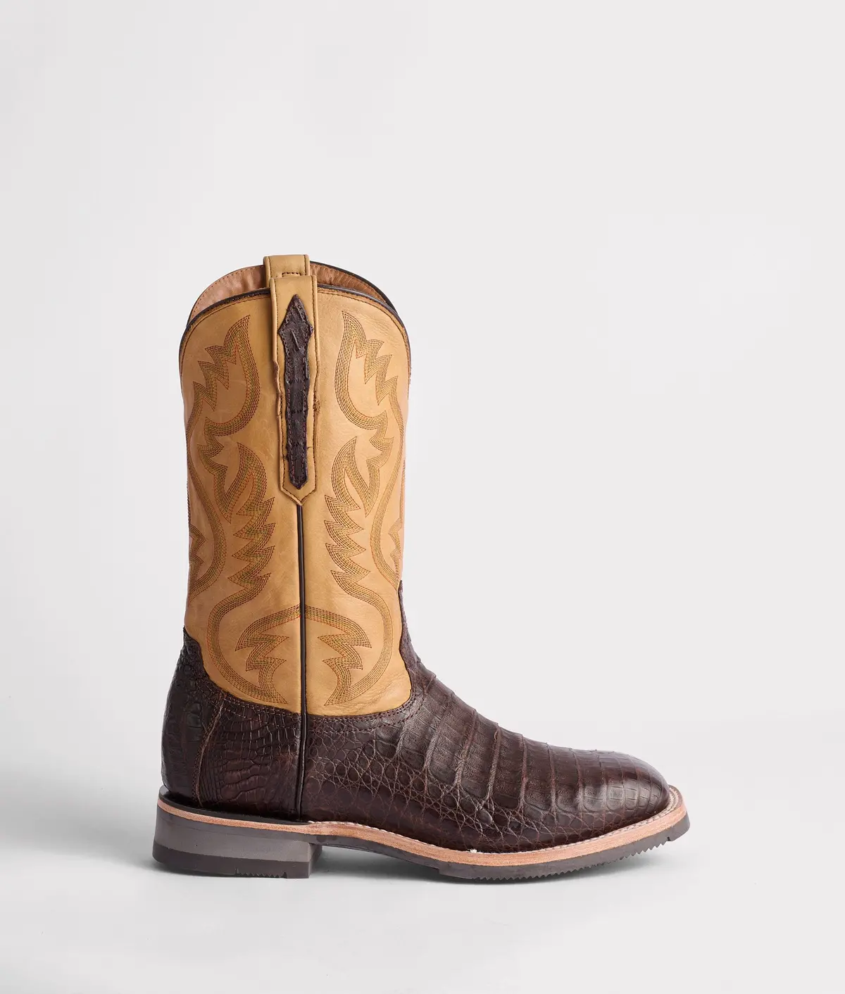 Rowdy Caiman :: Chocolate 1