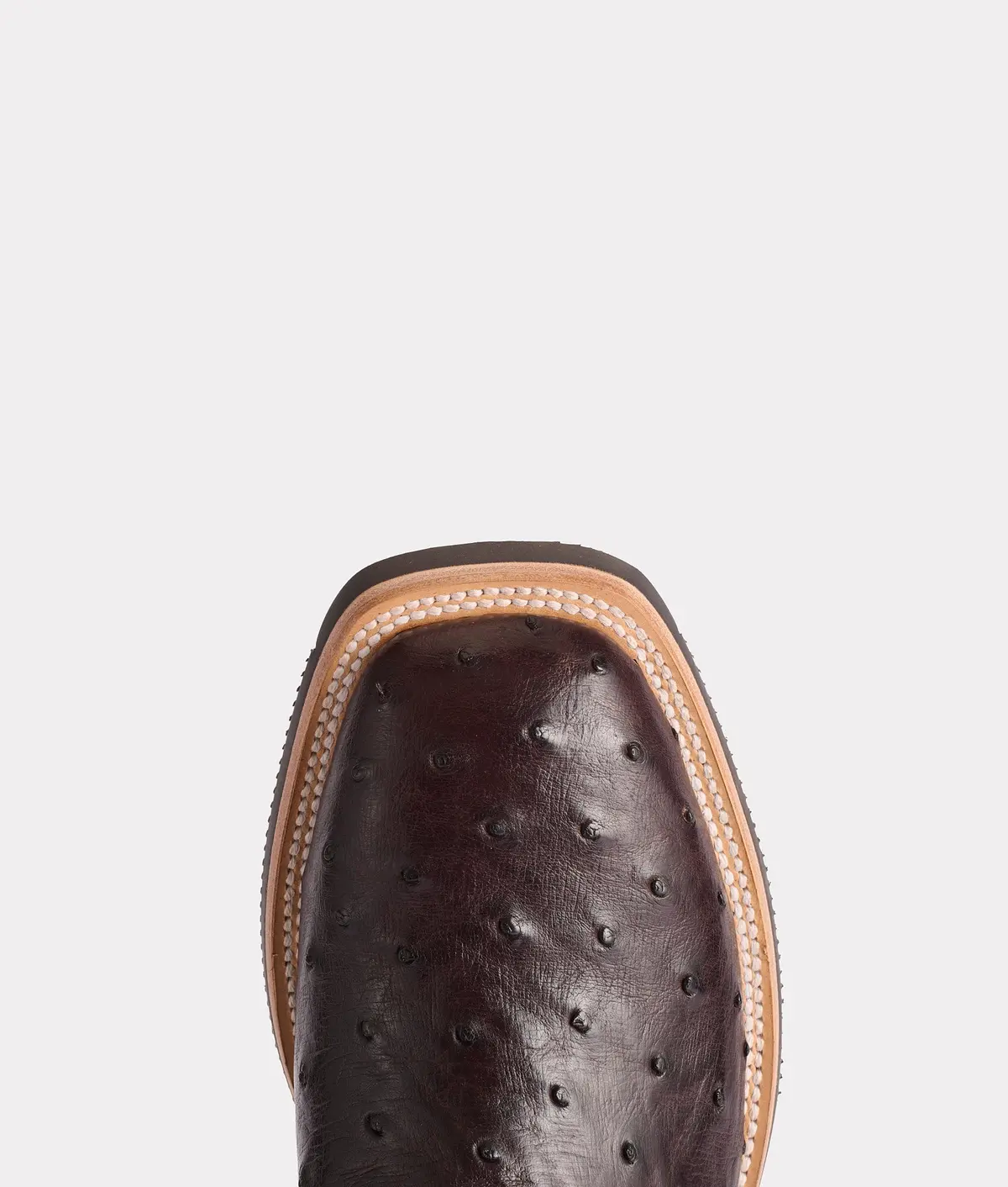 Rowdy Ostrich :: Antique Chocolate 7