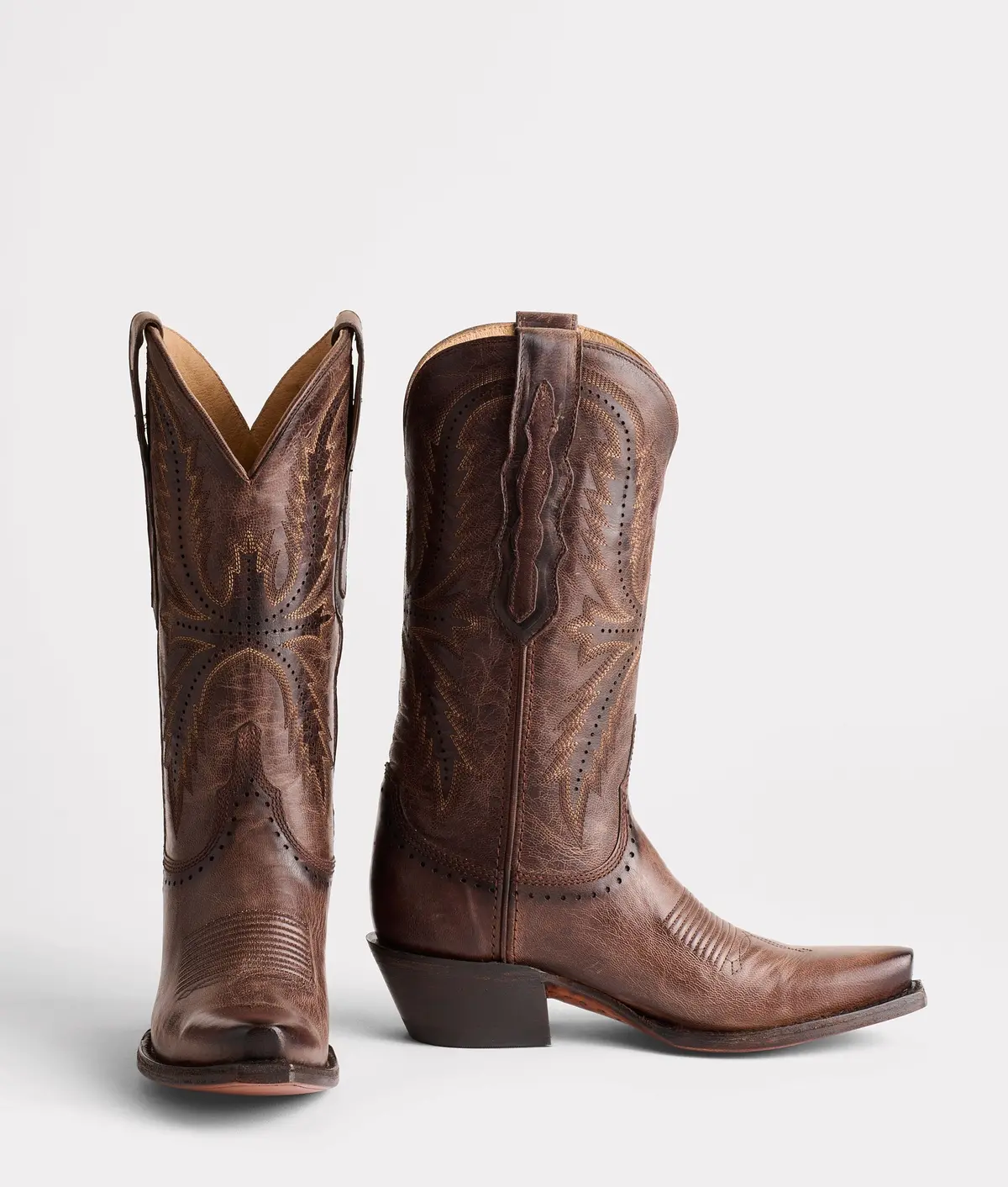 Marcella :: Brown 2