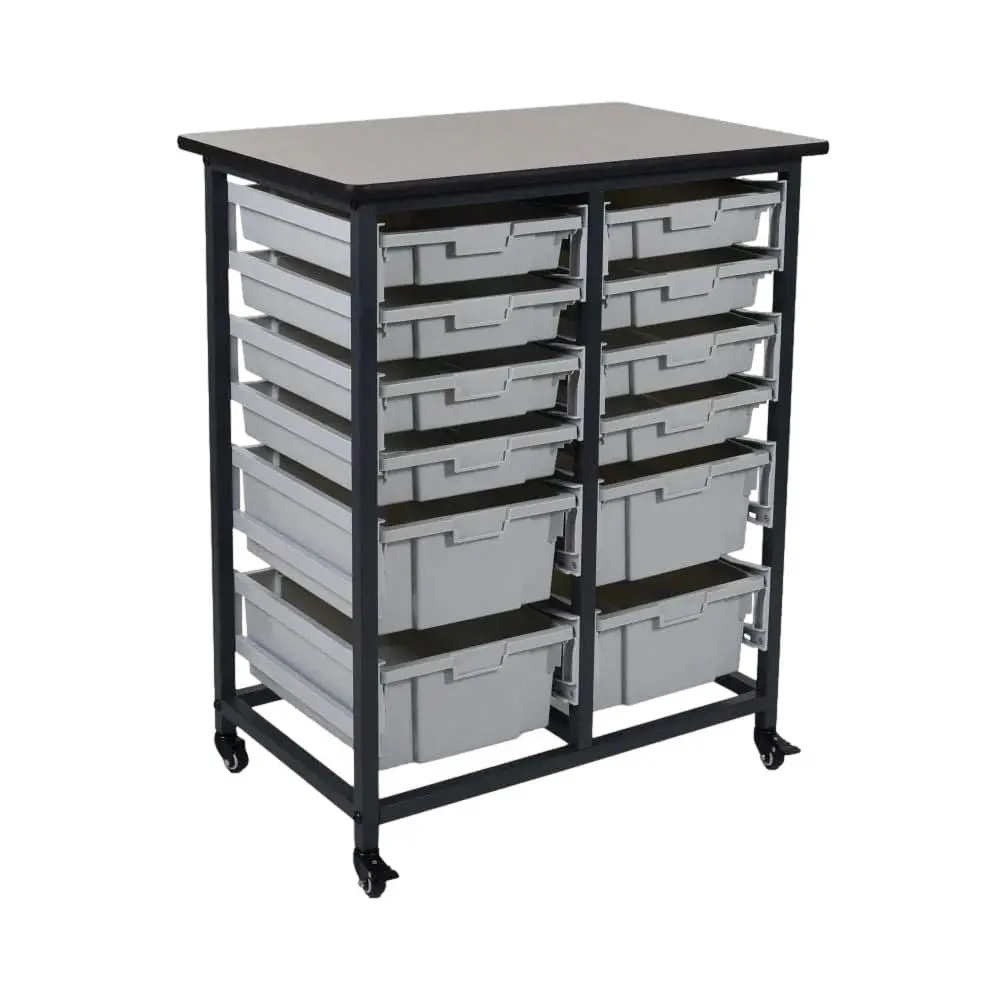 Mobile Bin Storage Unit Two Wide (Large And Small Bins) 1