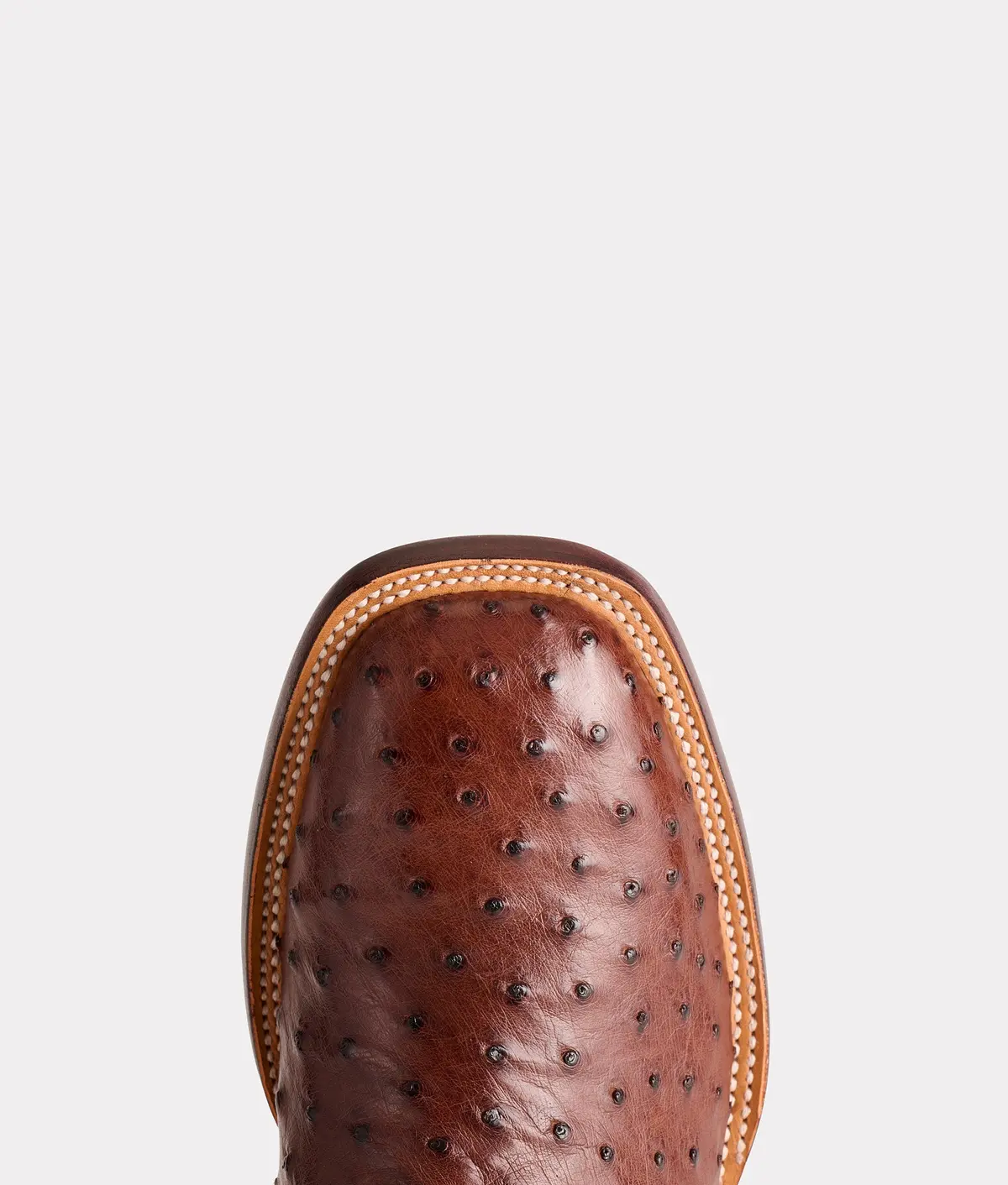 The Olsen :: Chocolate 8