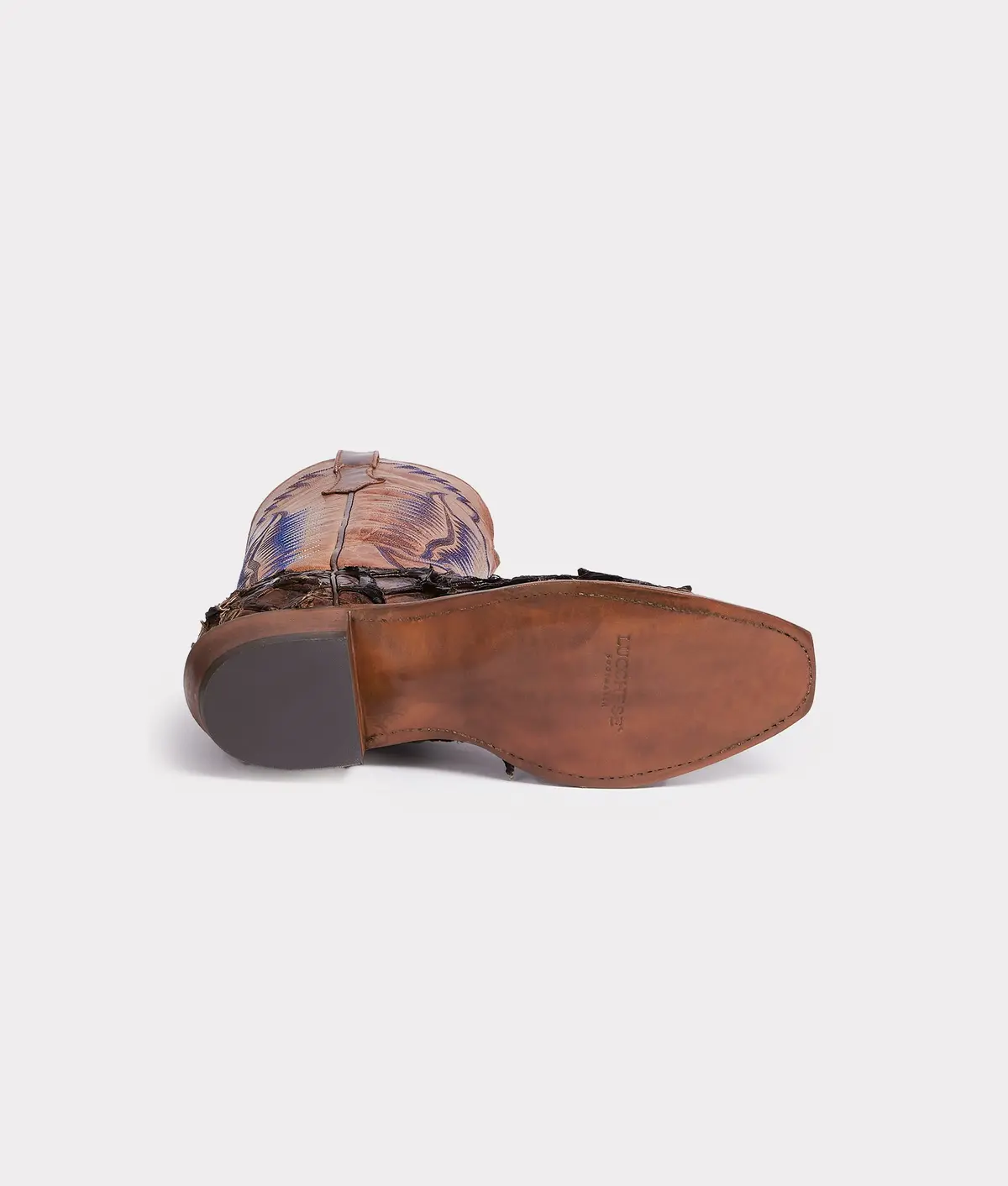 Murphy :: Chocolate 6