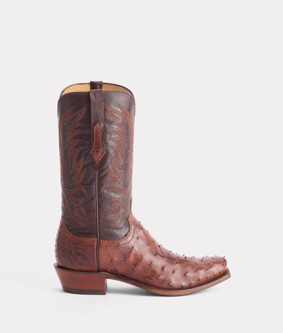 Elgin :: Chocolate 1