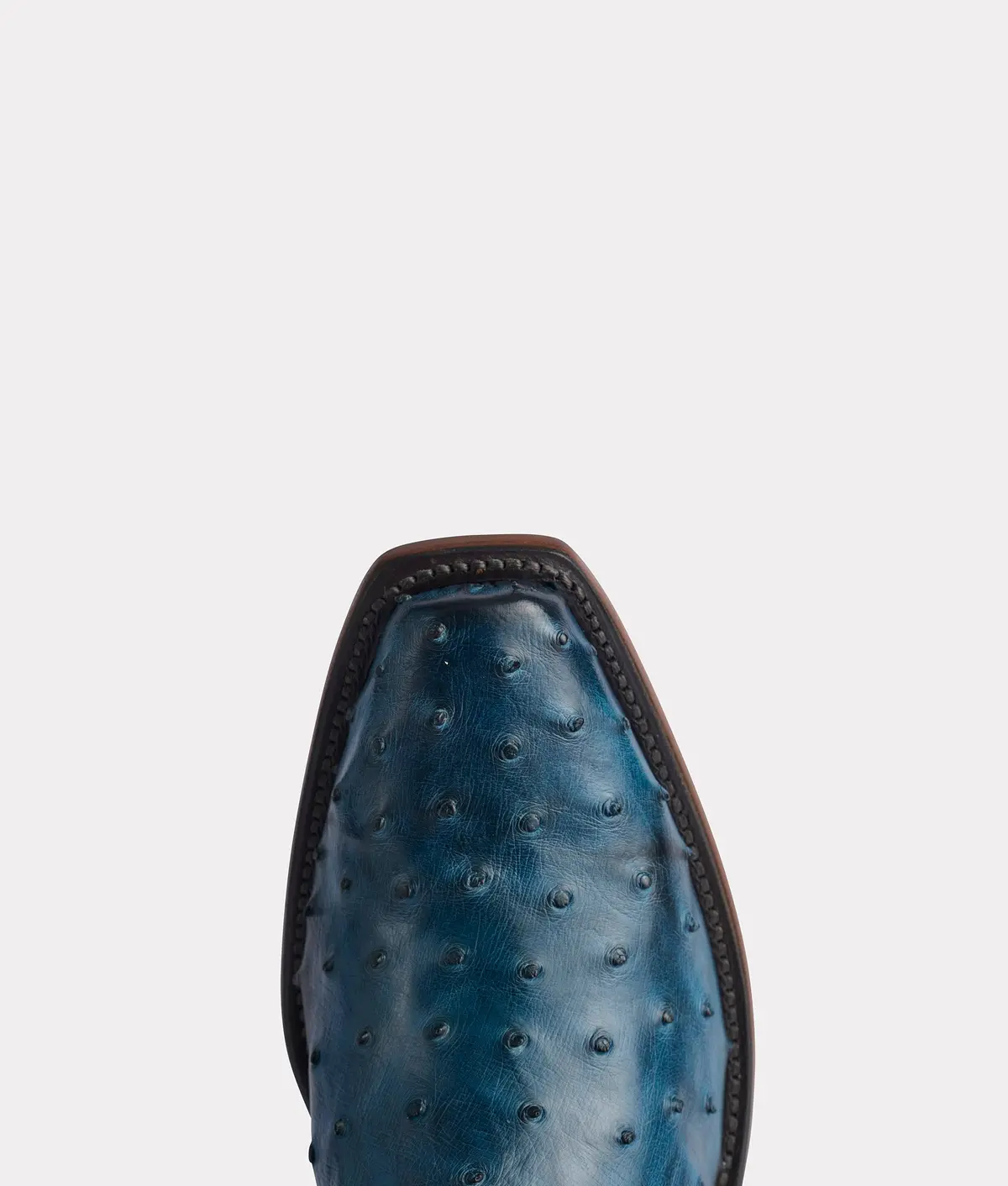 Elgin :: Navy + Black 15