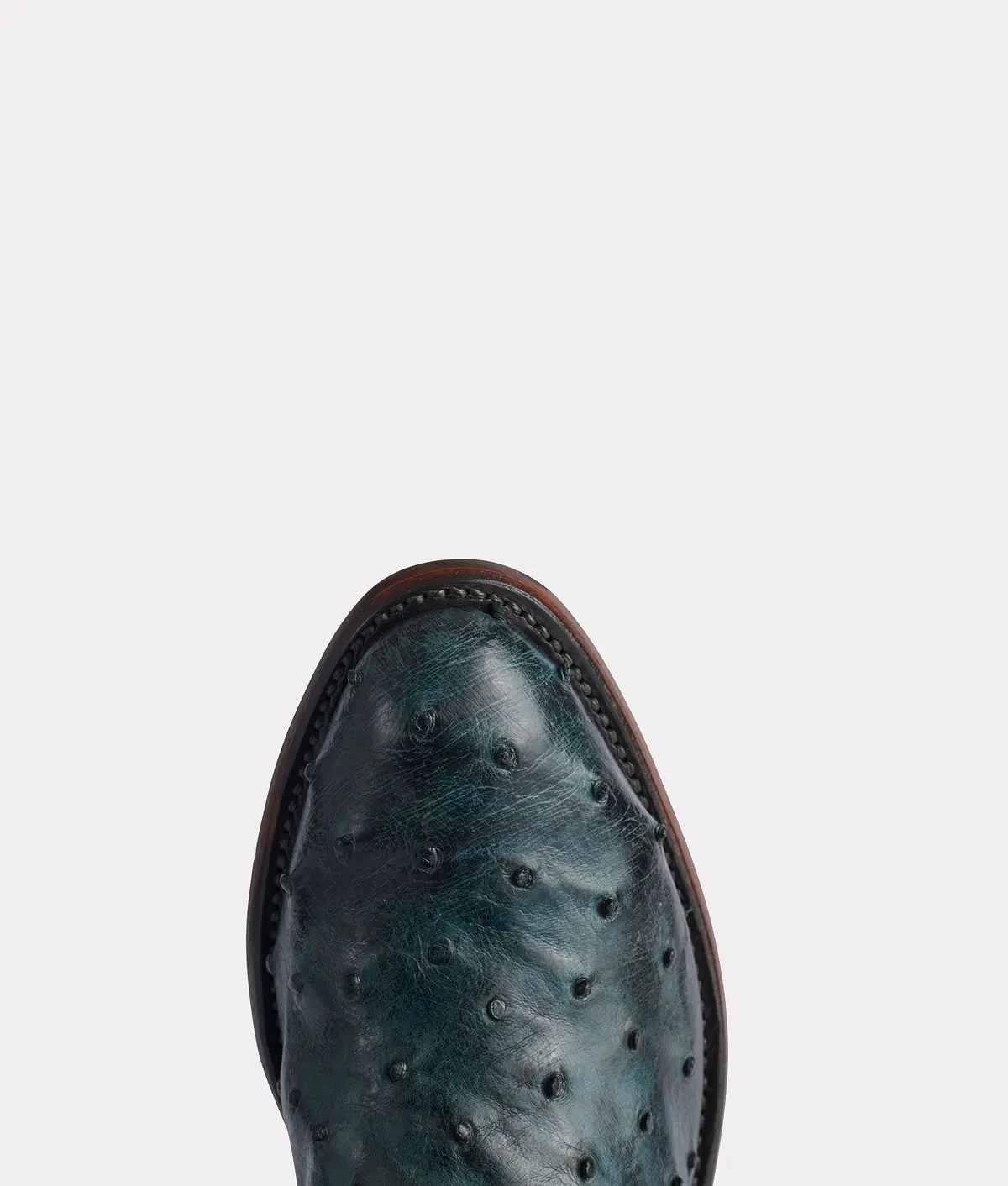Elgin :: Navy + Black 7