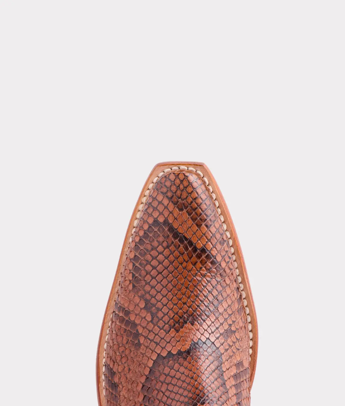 Dale Exotic :: Amber 8