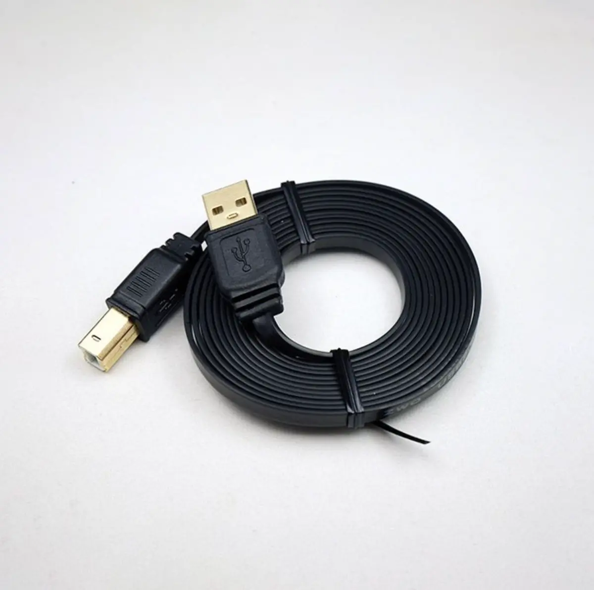 Zwo Usb 2.0 Type A Male To Type B Male Cable - 2M Long 1