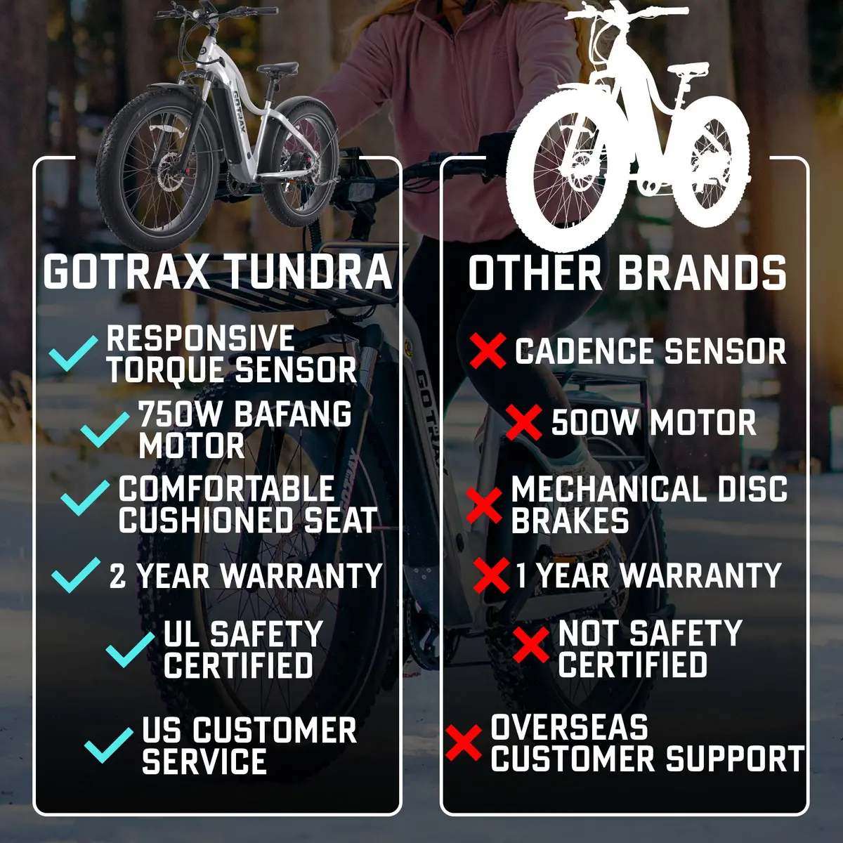 Tundra Fat Tire Electric Bike 4