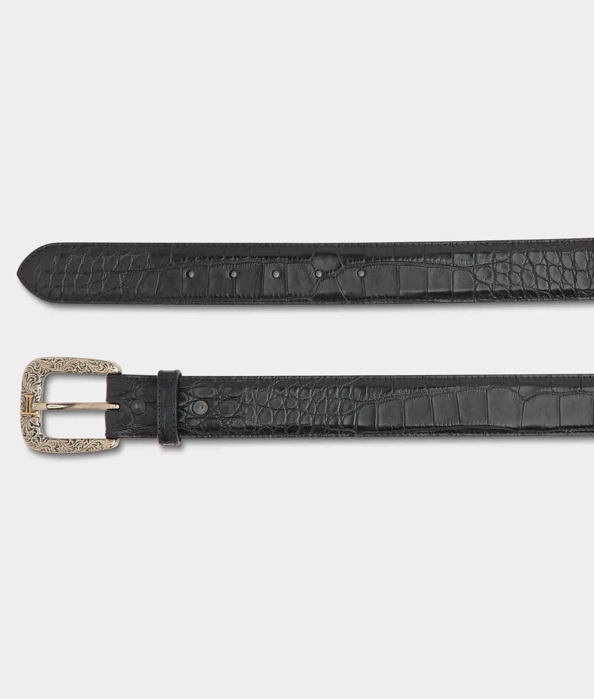 American Alligator :: Black 2